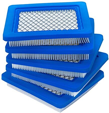 Briggs 491588s 2025